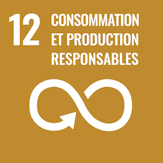 12 Consommation et production responsables