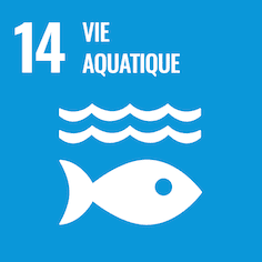 14 Vie aquatique