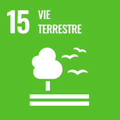 15 Vie terrestre